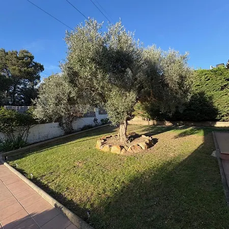 Vista Alegria Villa Santa Susanna