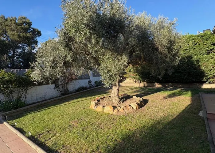 Vista Alegria Villa Santa Susanna